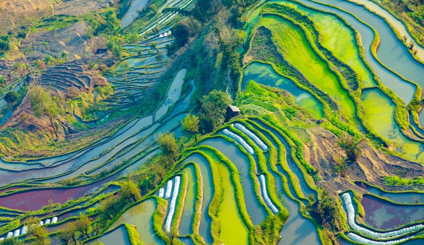 宝妈必备神器：自贡产品视频拍摄轻松育儿好帮手